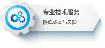 专业技术服务